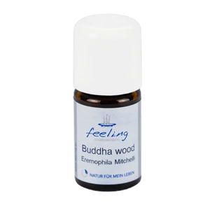 buddha_fa_illoolaj buddha_fa_illoolaj