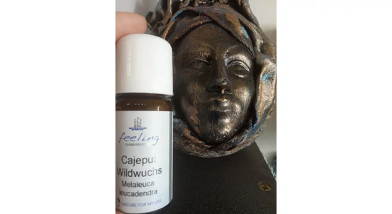 Kajeput illóolajról mindent