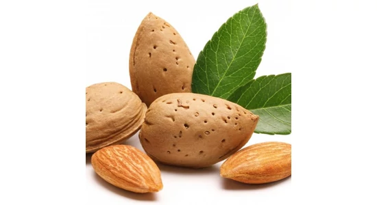 Növényi olajok 1.- Édesmandula olaj