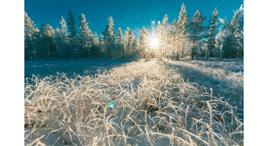Illóolajokkal a téli depresszió ellen